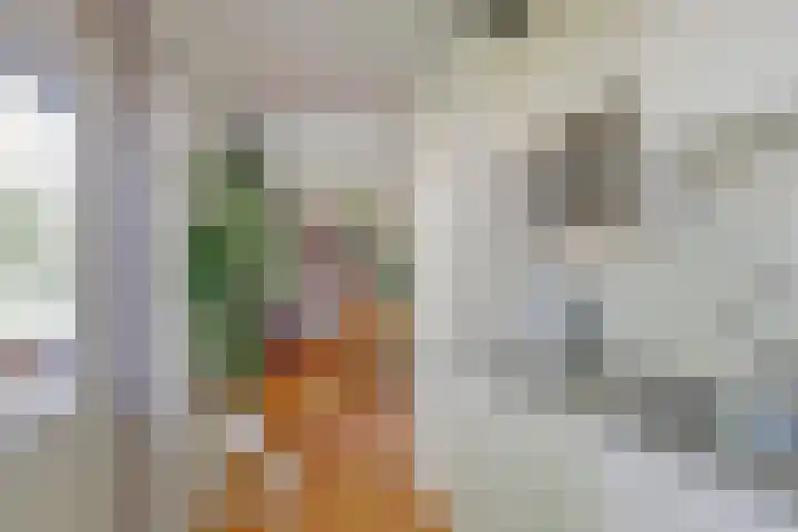 Laan van Henegouwen 22 Zeist thumbnail 14