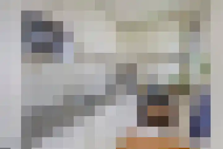 Laan van Henegouwen 22 Zeist thumbnail 16