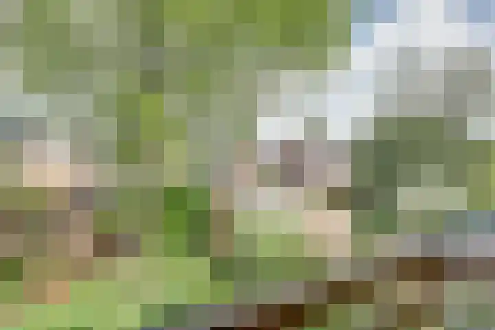 Laan van Henegouwen 22 Zeist thumbnail 18