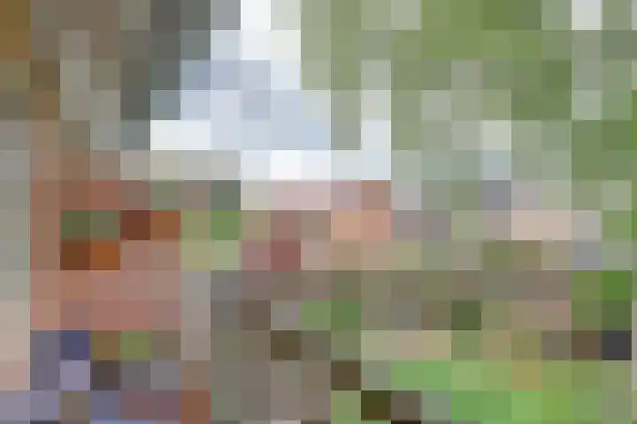 Laan van Henegouwen 22 Zeist thumbnail 19