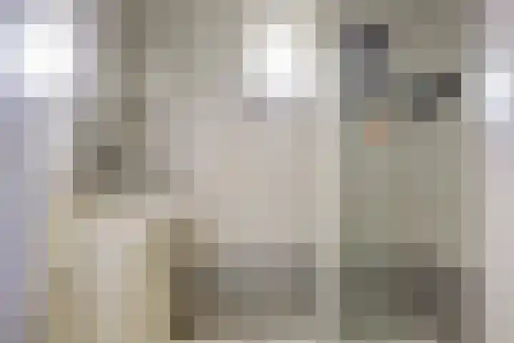 Laan van Henegouwen 22 Zeist thumbnail 20