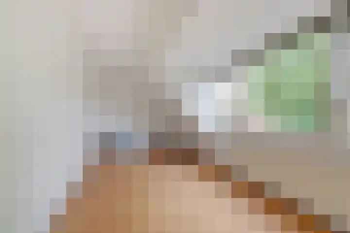 Laan van Henegouwen 22 Zeist thumbnail 27