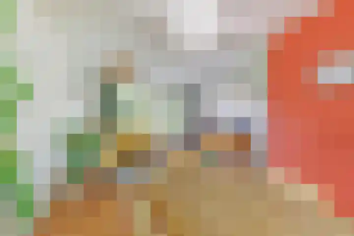 Laan van Henegouwen 22 Zeist thumbnail 5