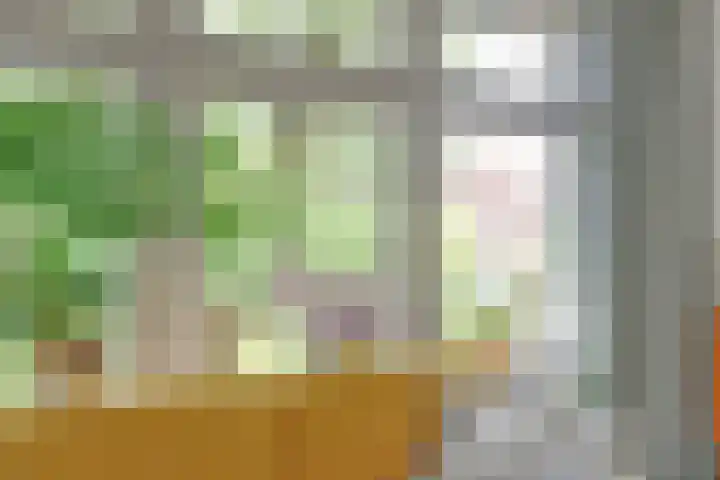 Laan van Henegouwen 22 Zeist thumbnail 8