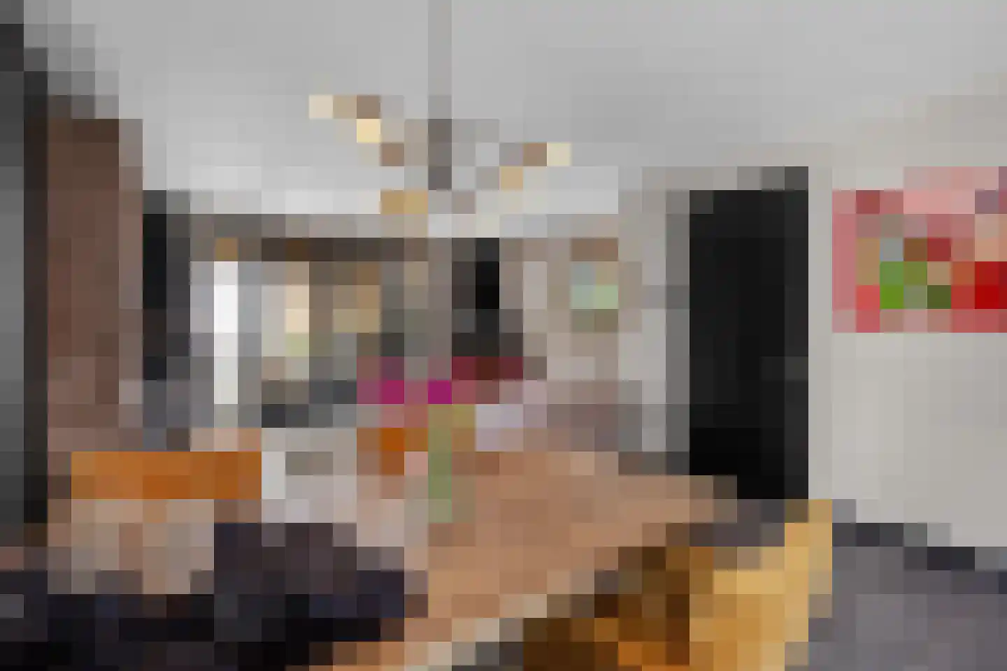 Laan van Henegouwen 24 Roosendaal thumbnail 10