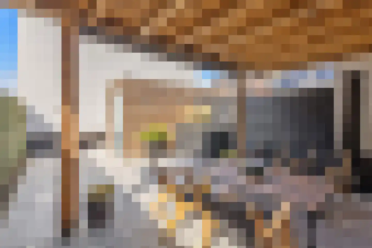 Laan van Henegouwen 24 Roosendaal thumbnail 5