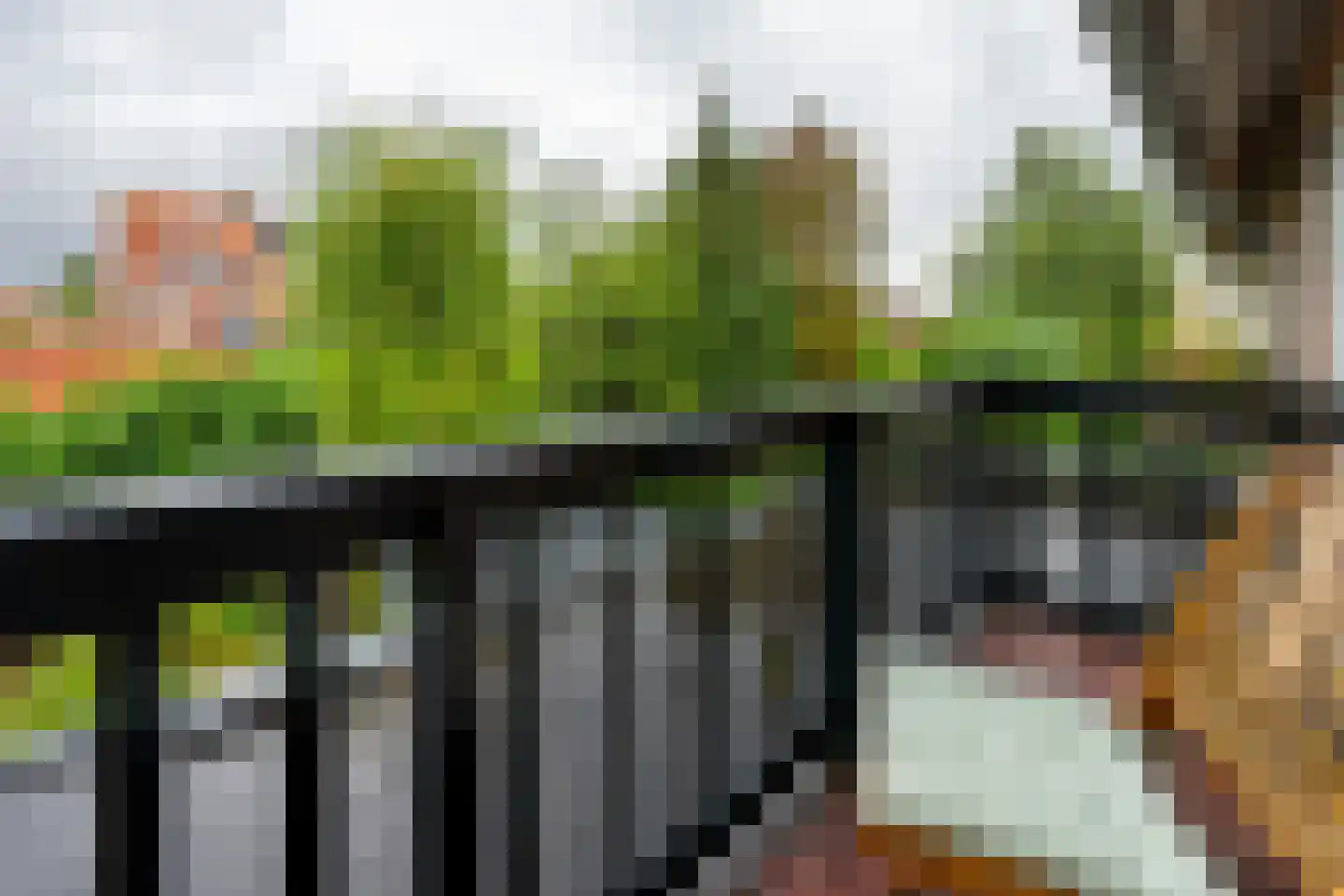 Laan van Henegouwen 38 Zeist thumbnail 25
