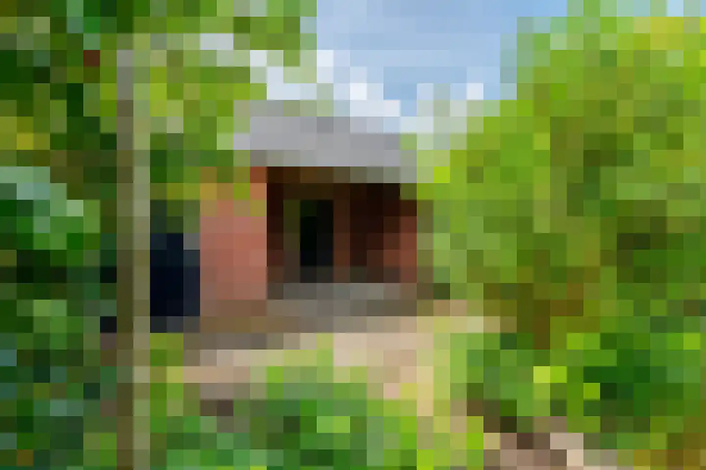 Laan van Henegouwen 43 Zeist thumbnail 27