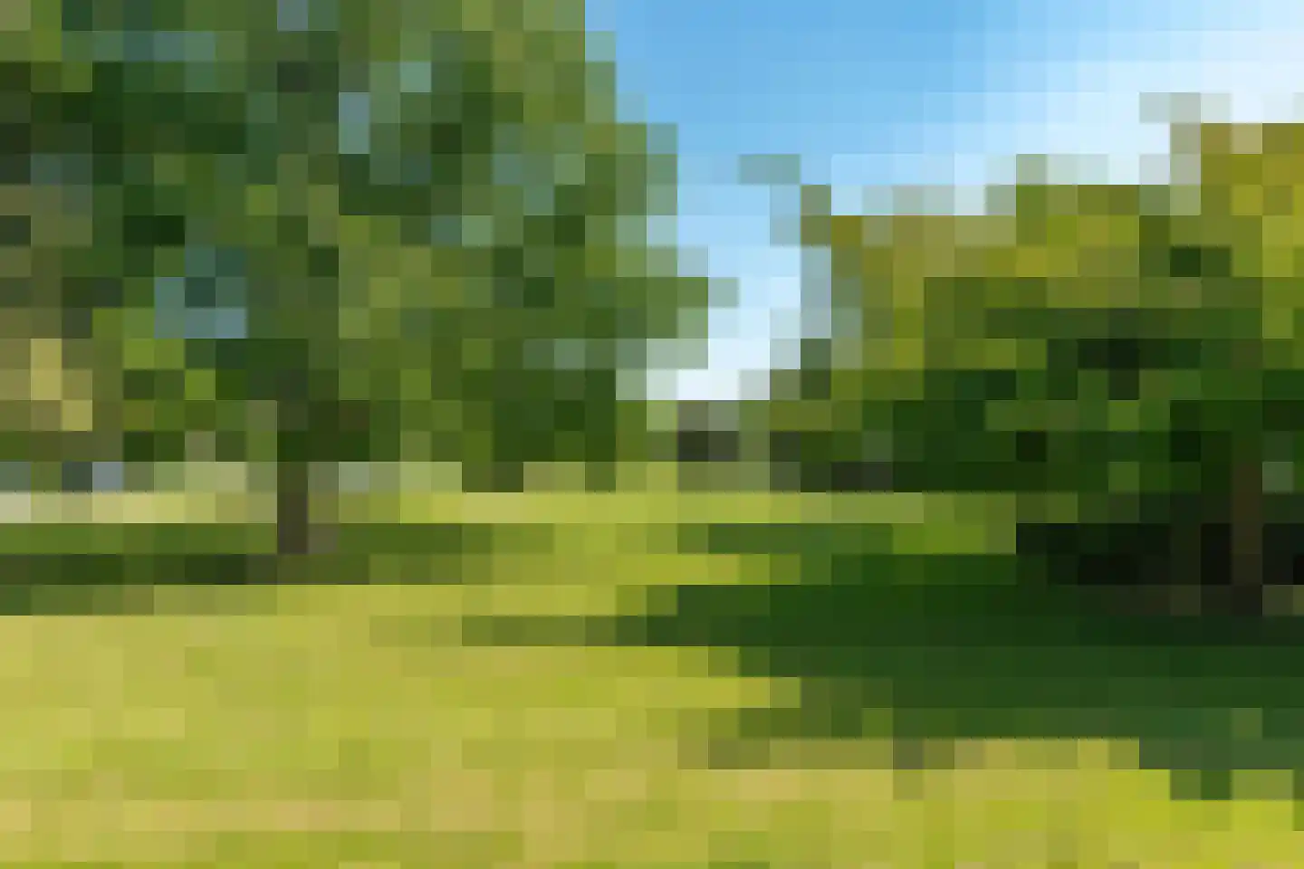Laan van Henegouwen 48 Zeist thumbnail 27