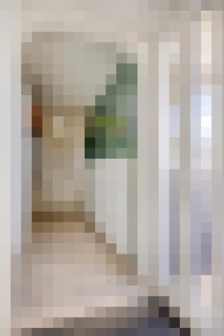 Laan van het Kinholt 146 Emmen thumbnail 12