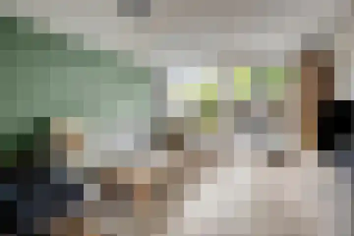Laan van het Kinholt 146 Emmen thumbnail 14