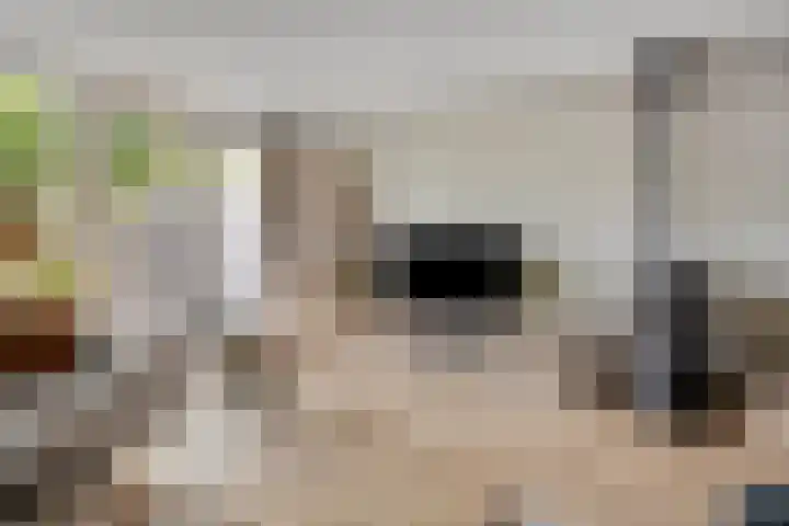 Laan van het Kinholt 146 Emmen thumbnail 15