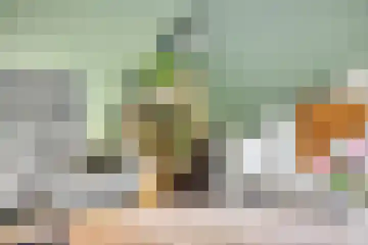 Laan van het Kinholt 146 Emmen thumbnail 16