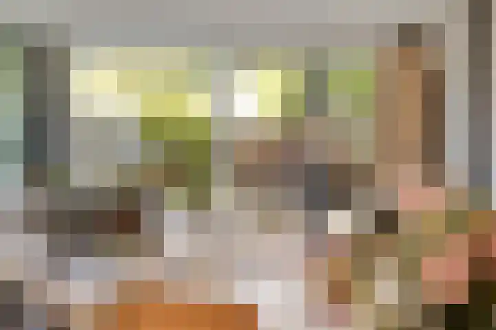 Laan van het Kinholt 146 Emmen thumbnail 17