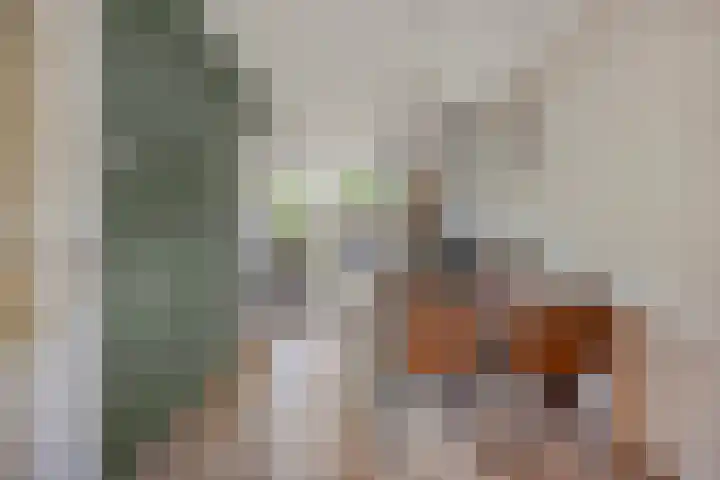 Laan van het Kinholt 146 Emmen thumbnail 20