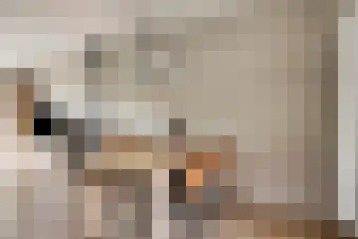 Laan van het Kinholt 146 Emmen thumbnail 21