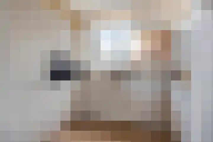 Laan van het Kinholt 146 Emmen thumbnail 24