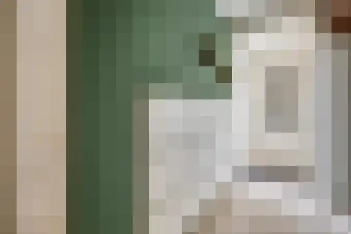 Laan van het Kinholt 146 Emmen thumbnail 26