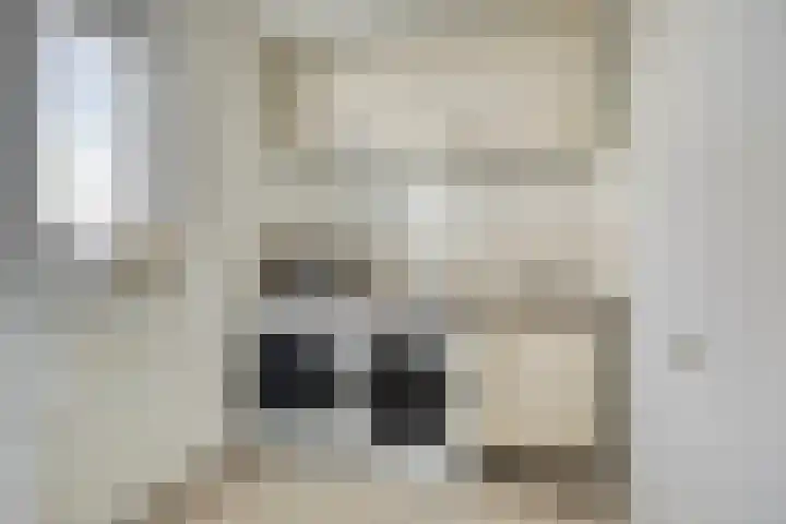 Laan van het Kinholt 146 Emmen thumbnail 27