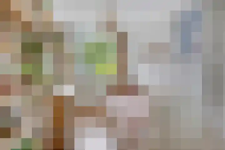 Laan van het Kinholt 146 Emmen thumbnail 34