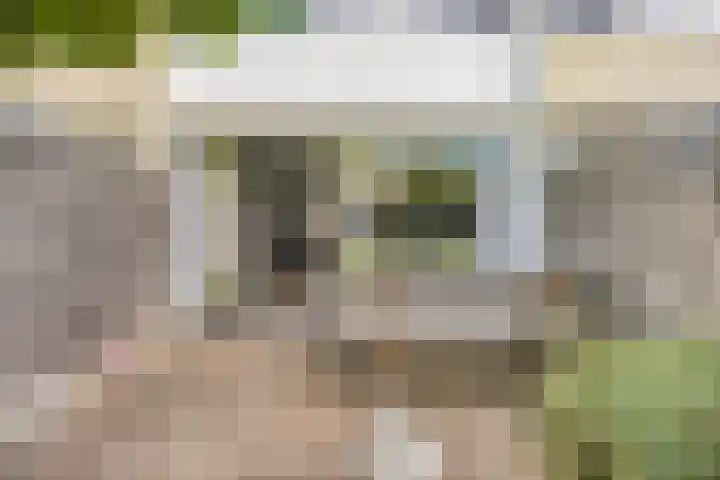 Laan van het Kinholt 146 Emmen thumbnail 36