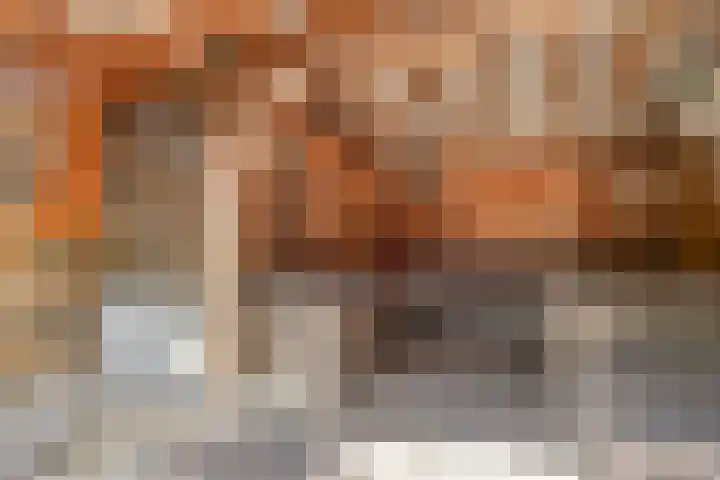 Laan van het Kinholt 146 Emmen thumbnail 37