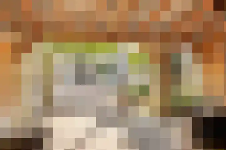 Laan van het Kinholt 146 Emmen thumbnail 38