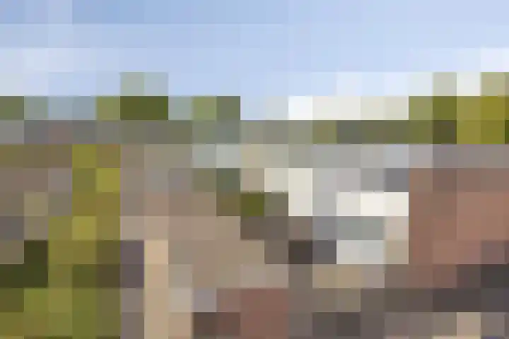 Laan van het Kinholt 146 Emmen thumbnail 4
