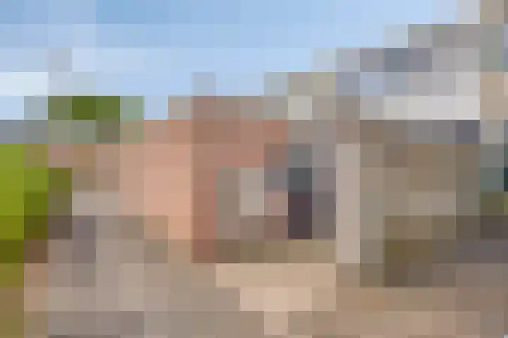Laan van het Kinholt 146 Emmen thumbnail 7