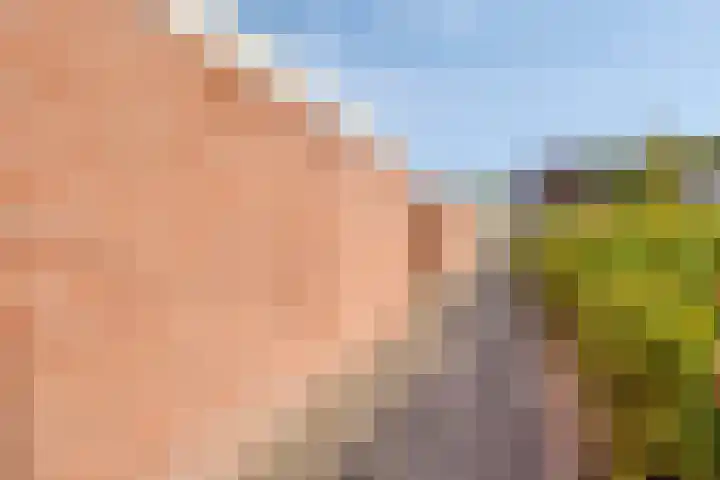 Laan van het Kinholt 146 Emmen thumbnail 8