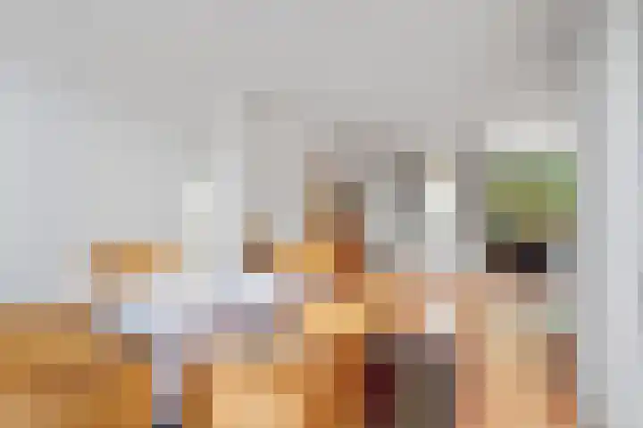 Laan van het Kinholt 153 Emmen thumbnail 12