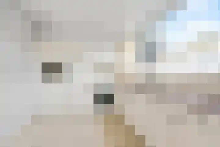 Laan van het Kinholt 153 Emmen thumbnail 13