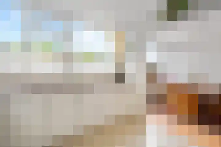 Laan van het Kinholt 153 Emmen thumbnail 15