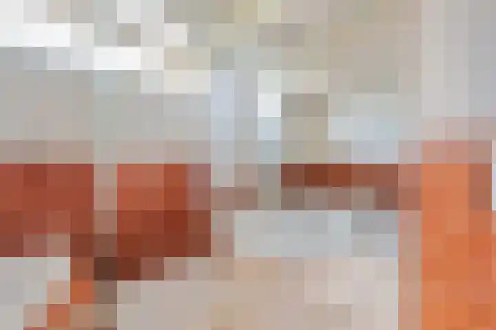 Laan van het Kinholt 153 Emmen thumbnail 24