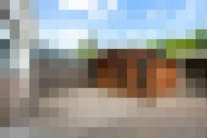 Laan van het Kinholt 153 Emmen thumbnail 27