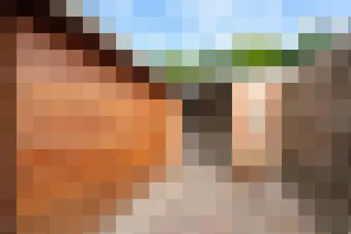 Laan van het Kinholt 153 Emmen thumbnail 30