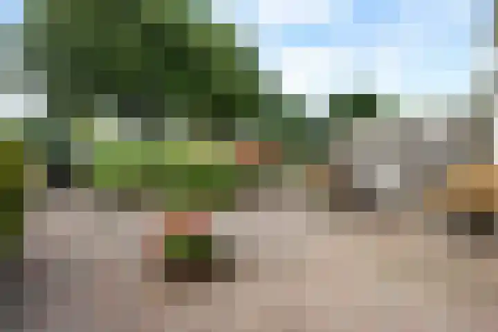 Laan van het Kinholt 153 Emmen thumbnail 31