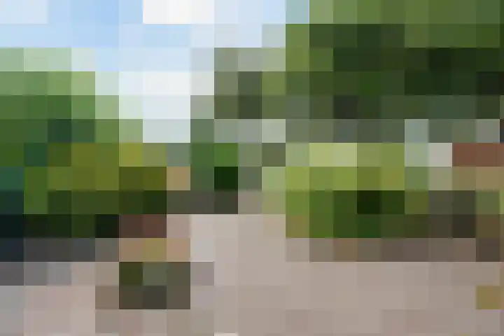 Laan van het Kinholt 153 Emmen thumbnail 32