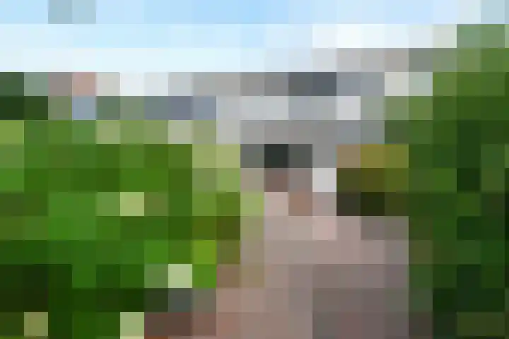 Laan van het Kinholt 153 Emmen thumbnail 33