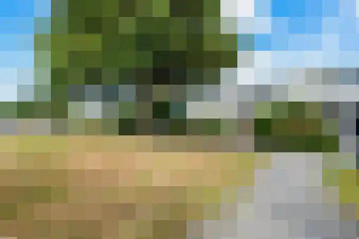 Laan van het Kinholt 153 Emmen thumbnail 34