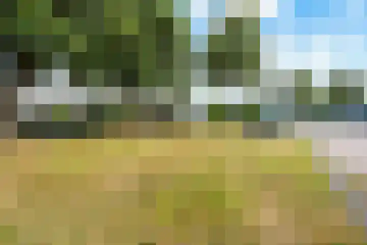 Laan van het Kinholt 153 Emmen thumbnail 35