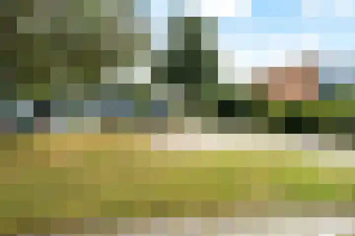 Laan van het Kinholt 153 Emmen thumbnail 36
