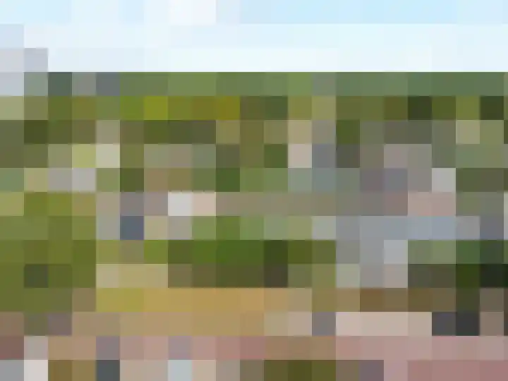 Laan van het Kinholt 153 Emmen thumbnail 38