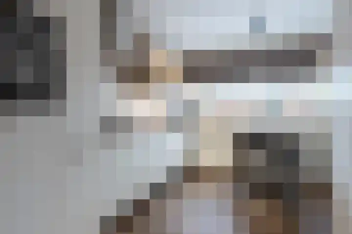 Laan van het Kinholt 174 Emmen thumbnail 11