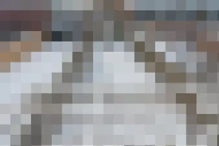 Laan van het Kinholt 174 Emmen thumbnail 21