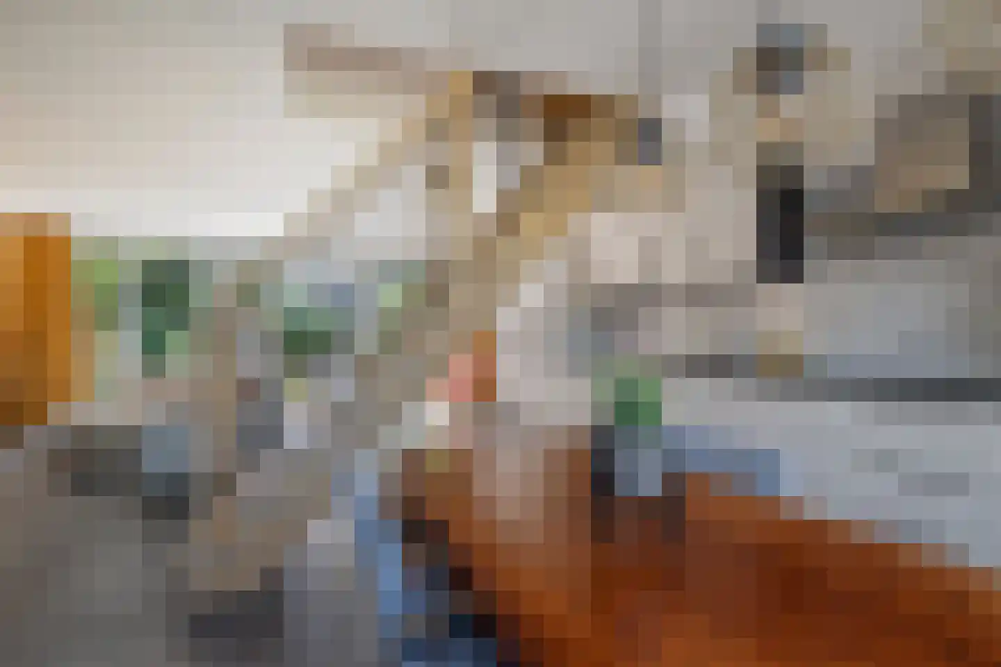 Laan van het Kinholt 191 Emmen thumbnail 10