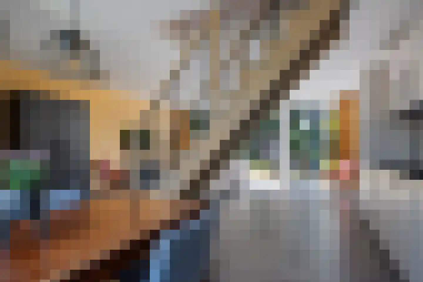 Laan van het Kinholt 191 Emmen thumbnail 11