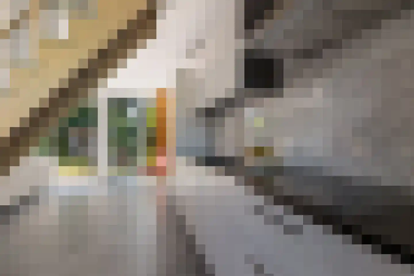Laan van het Kinholt 191 Emmen thumbnail 12