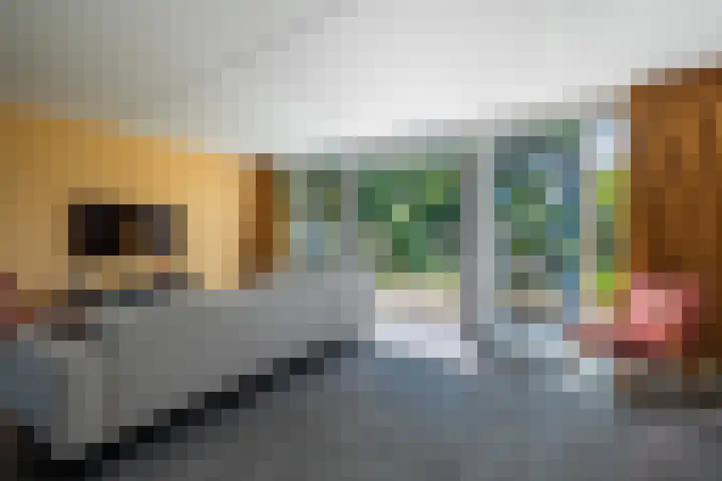 Laan van het Kinholt 191 Emmen thumbnail 13