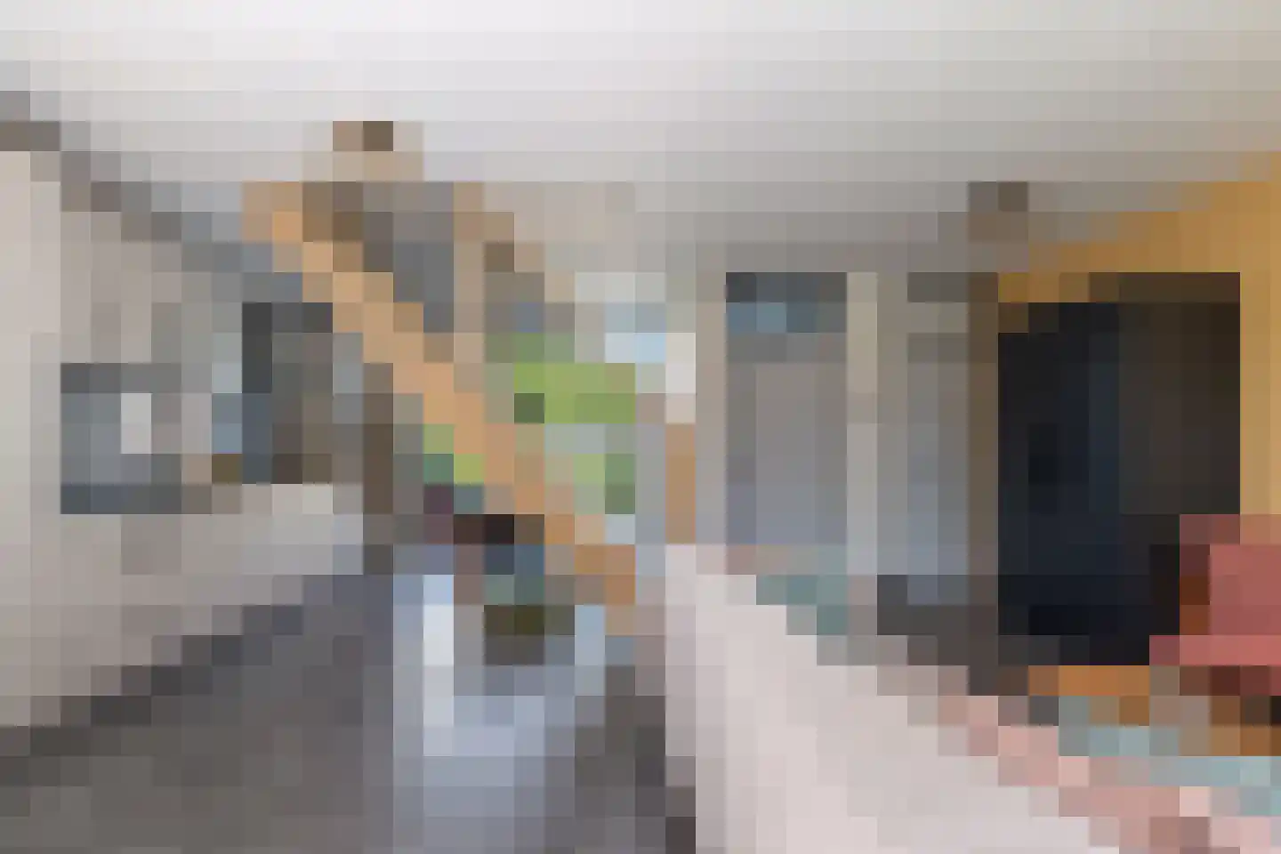 Laan van het Kinholt 191 Emmen thumbnail 17